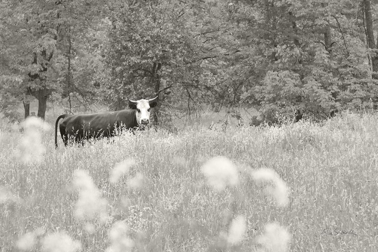 Picture of SUMMER FARM II BW