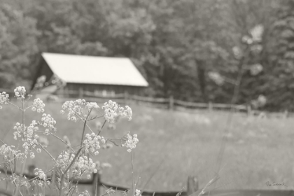 Picture of SUMMER FARM III BW