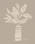 Picture of DREAMY BOHO BOTANICAL SKETCHES VI