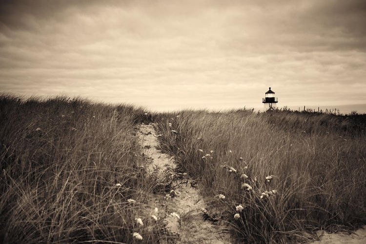Picture of NANTUCKET LIGHT SEPIA