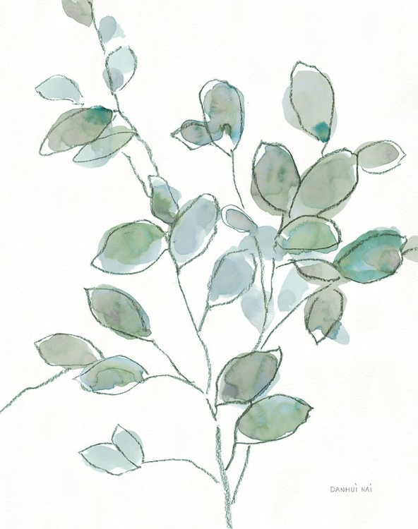 Picture of TRANSPARENT BRANCH EUCALYPTUS