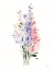 Picture of SPRING BLOOMS II