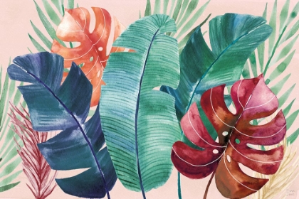 Picture of THE TROPICS I