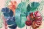 Picture of THE TROPICS I