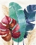 Picture of THE TROPICS III