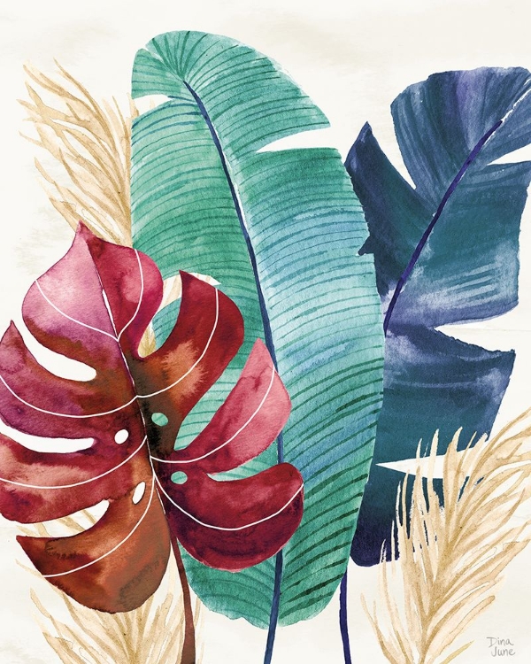 Picture of THE TROPICS III