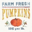 Picture of FALL FLAIR IV