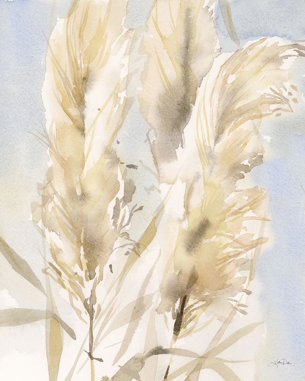 Picture of PAMPAS GRASSES