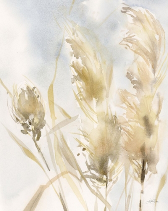 Picture of PAMPAS GRASSES