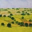 Picture of DUSTY MEADOWS