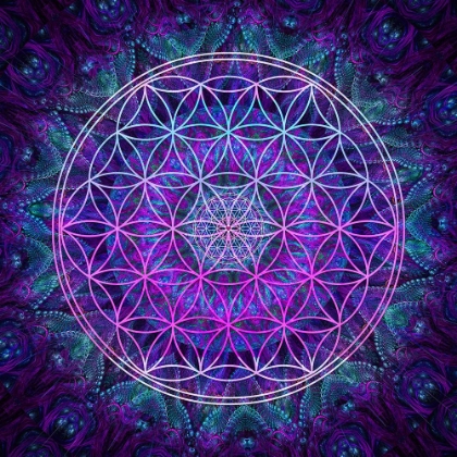 Picture of FLOWER OF LIFE