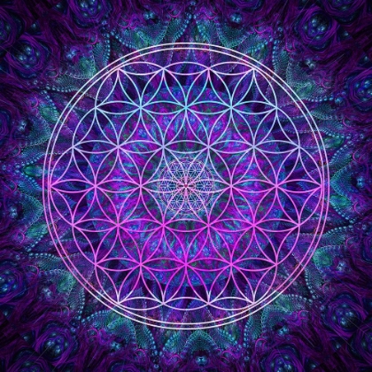 Picture of FLOWER OF LIFE