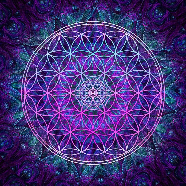 Picture of FLOWER OF LIFE