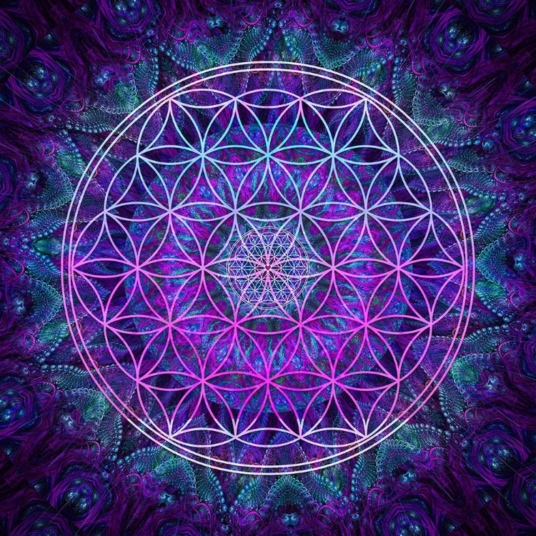 Picture of FLOWER OF LIFE