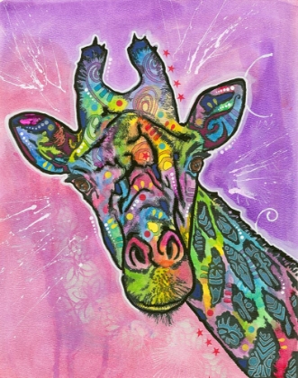 Picture of GIRAFFE