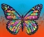 Picture of BUTTERFLY
