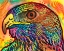Picture of HAWK EYE