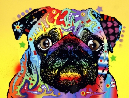 Picture of PUG