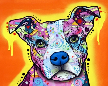 Picture of A SERIOUS PIT