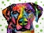 Picture of RHODESIAN