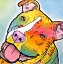 Picture of SKITTLES