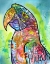 Picture of MACAW