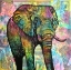 Picture of ELEPHANT TORN