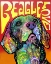 Picture of BEAGLE LOVE