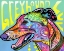 Picture of GREYHOUND LUV