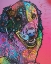 Picture of SPLATTER