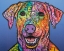 Picture of ROCCO