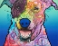 Picture of MATILDA CUSTOM-003