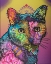 Picture of SADIE CUSTOM-5