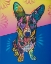 Picture of GRACIE
