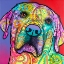 Picture of STARRY LAB