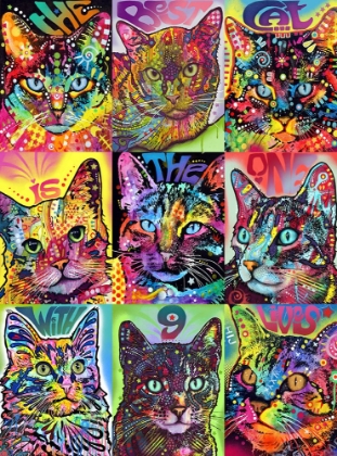 Picture of NINE UP OF CATS