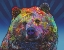 Picture of GRIZZ