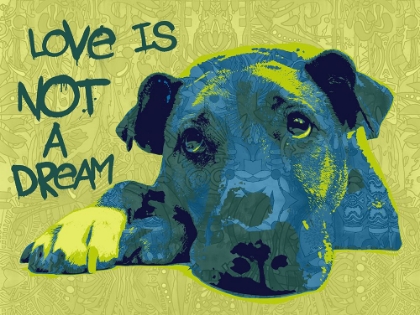 Picture of LOVE IS NOT A DREAM