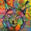 Picture of THE LYNX