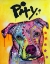 Picture of PITY II