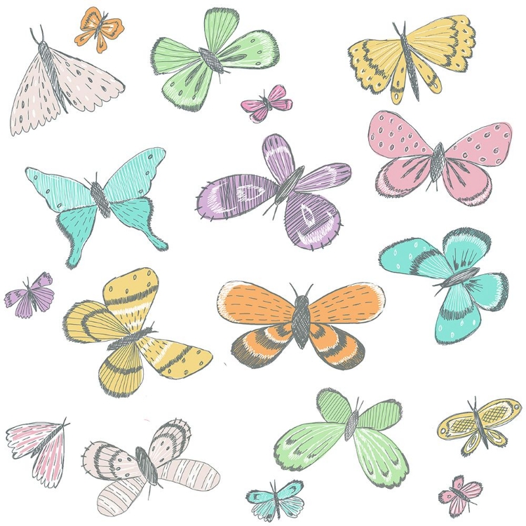 Picture of SKETCH BOOK BUTTERFLY