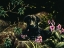 Picture of JS14-D