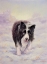 Picture of 056