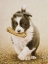 Picture of 222