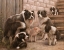 Picture of 326