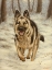 Picture of 339