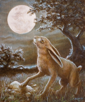 Picture of 116 MOON GAZING HARE