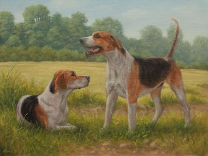 Picture of C962 FOXHOUND PAIR(L)