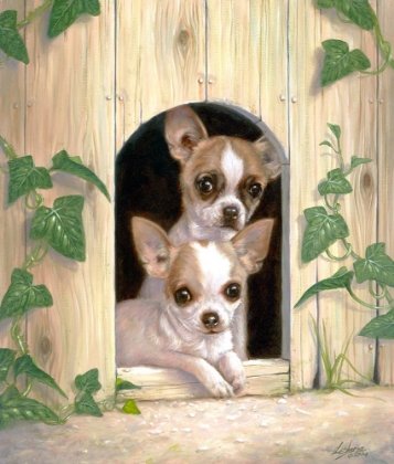 Picture of CHIHUAHUAS IN DOGHOUSE