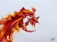 Picture of IGNITE